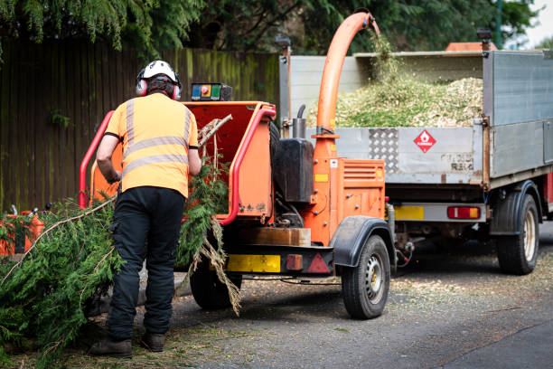 Best Affordable Tree Service  in Robinson, TX